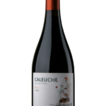 Butelka Caleuche Syrah 0,75L – intensywne, korzenne wino z Chile o nutach czarnych jagód i dębu.