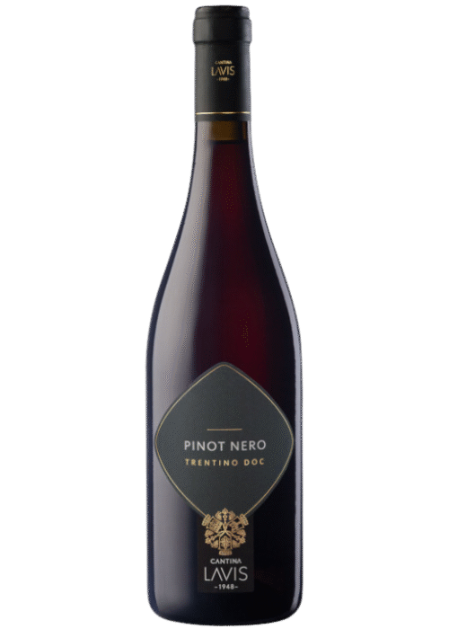 Butelka Cantina Lavis Pinot Nero 0,75L – włoskie czerwone wino z regionu Alto Adige, o owocowym, korzennym charakterze.