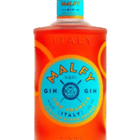 MALFY CON ARANCIA BLOOD ORANGE GIN 41% 0,7L