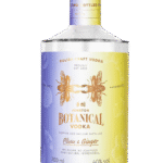 Butelka Plum & Ginger Botanical Vodka – polska wódka o unikalnym smaku śliwki i imbiru