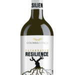 Butelka Resilienze Lucido (Catarratto) DOC Sicilia 0,75L – wytrawne białe wino z Sycylii o cytrusowo-kwiatowo-owocowym aromacie