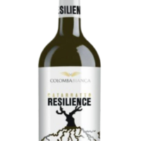 Resilienze Lucido (Catarratto) Doc Sicilia 0,75L 12,5%