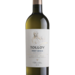 Butelka Tolloy Pinot Grigio Alto Adige DOC 0,75L – włoskie białe wino z Alto Adige o cytrusowym, kwiatowym i ziołowym aromacie