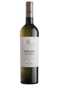 Tolloy Pinot Grigio Alto Adige Doc 0,75L 13%