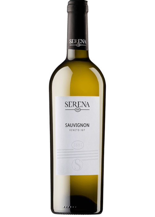 Butelka Vinicola Serena 1881 Sauvignon Blanc 0,75L – chilijskie białe wino wytrawne o cytrusowym, tropikalnym i ziołowym aromacie