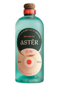 ASTER GIN DUSK 0,7L 42%